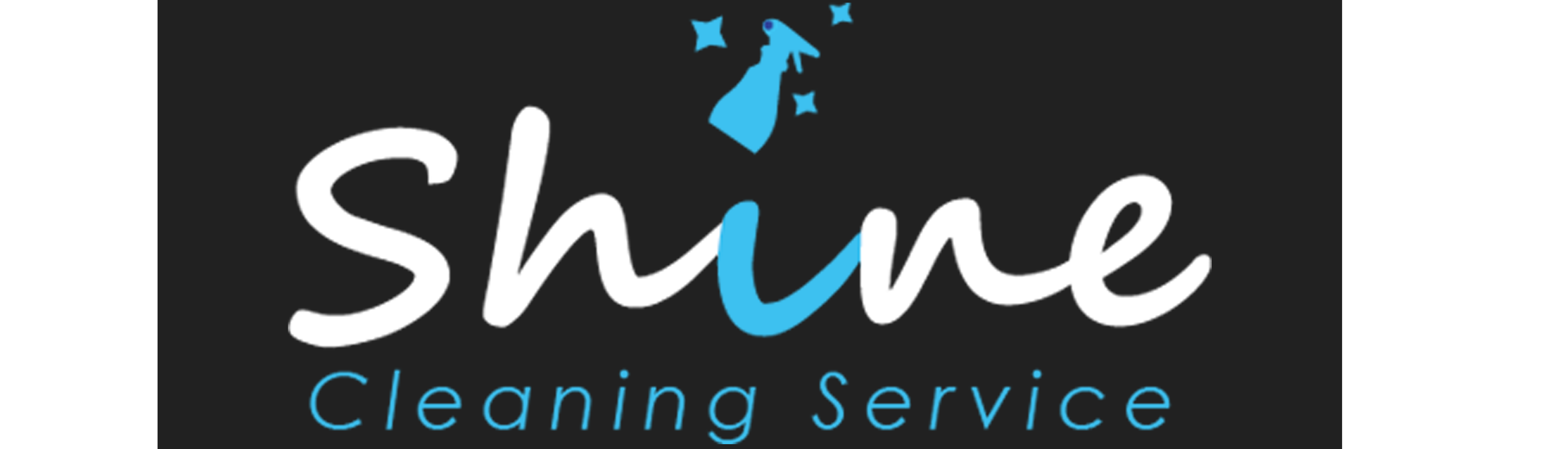 shine cleaning services