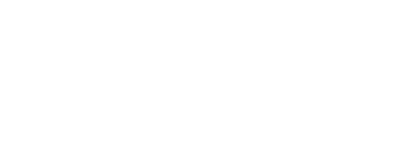 Liba Digitals Logo